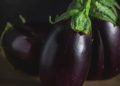 Brinjal
