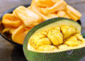 Jackfruit