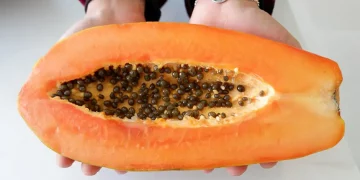 Papaya Seeds